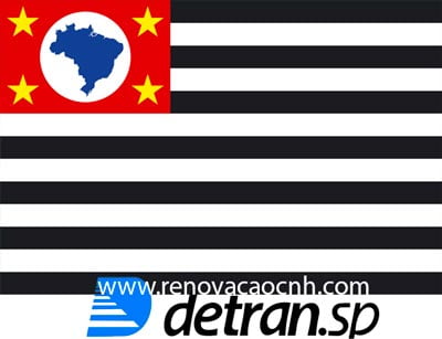 Renovação CNH SP - São Paulo: Como fazer?